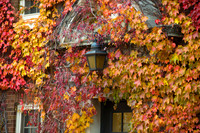 121018_5847_3000